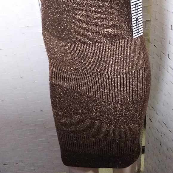 Bronze Chemise NWT - Picture 3 of 8